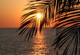Coucher de soleil © T. Michel