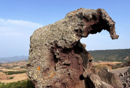 Rocher de l'éléphant à Castelsardo © T. Michel