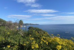 Paysage de Costa Brava © T. Michel