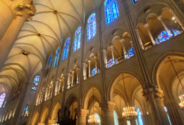 Notre-Dame de Paris © T. Michel