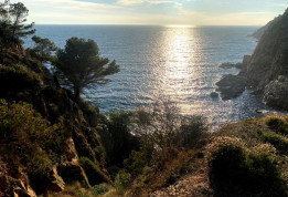 Côte Maresme © T. Michel