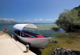 Le lac de Skadar