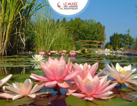 Dombes et jardins