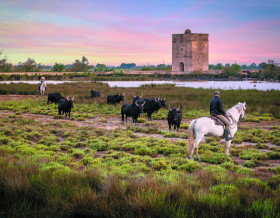 Camargue et Baux de Provence