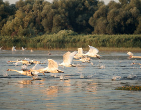 Au fil du beau Danube Bleu