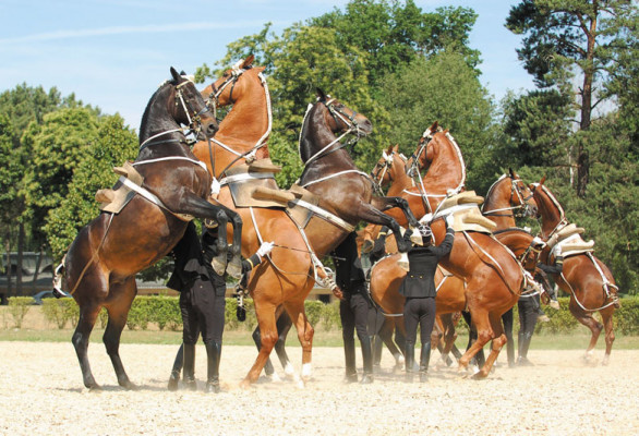 Saumur et Beauval