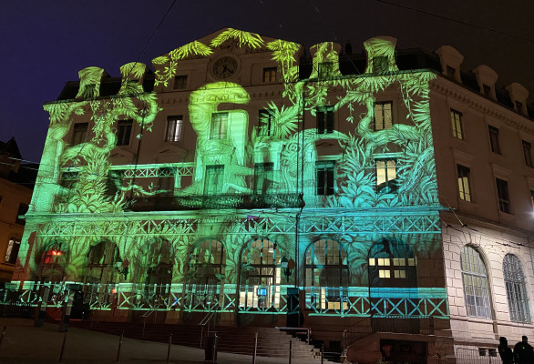 Marchés de Noël des trois pays et Fête des Lumières