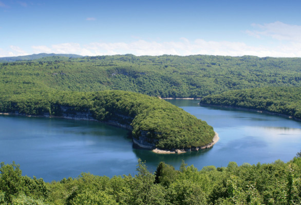 Croisière-déjeuner dans le Jura