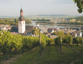 Croisière sur le Rhin
