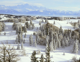 Marchés de Noël en Jura et Suisse