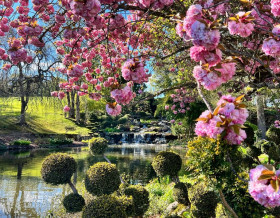 Apremont et son parc floral