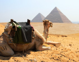 Le Caire et son nouveau musée