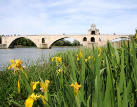 Escapade fluviale sur le Rhône