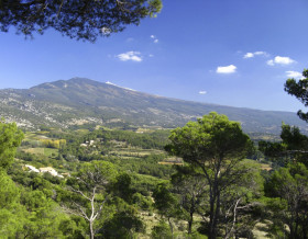 Epiphanie en Provence