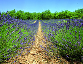 Couleurs du Luberon