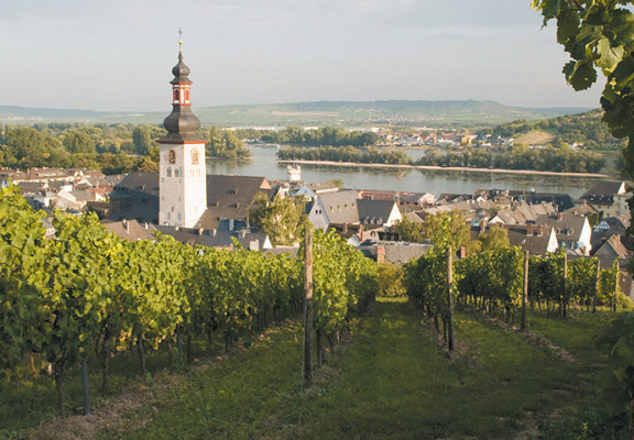 Croisière sur le Rhin