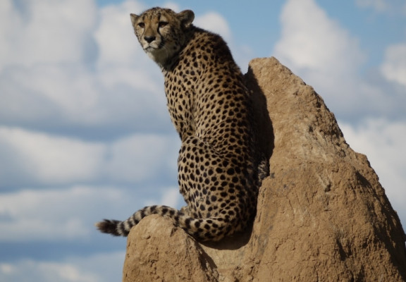 Namibie