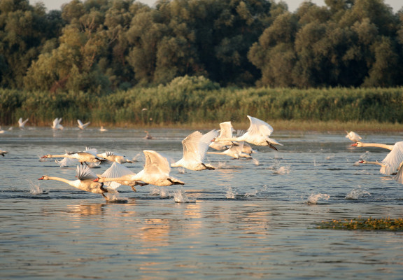 Au fil du beau Danube Bleu