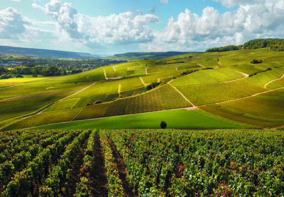 Champagne et Verdun