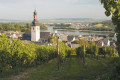 © Croisi Europe - Rüdesheim