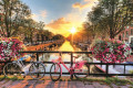 Amsterdam - Dennis-van-de-Water©Shutterstock