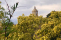 Bormes-les-Mimosas