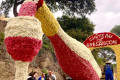 Corso de Bormes-les-Mimosas