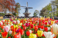 Parc Keukenhof ©Laurens Lindhout
