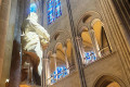 Notre-Dame de Paris © T. Michel