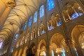 Notre-Dame de Paris © T. Michel
