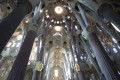 Sagrada Familia  © T. Michel