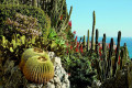 ©Jardin Exotique de Monaco/Mairie de Monaco