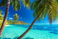 Moorea