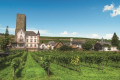 rudesheim-vignoble©shutterstock