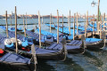 Grand Canal © T. Michel