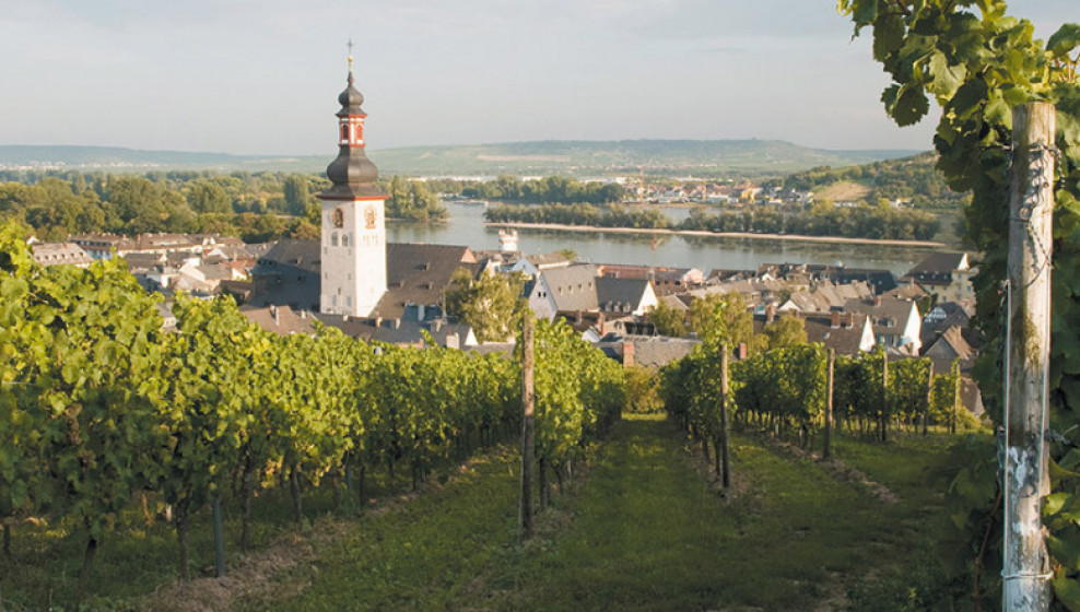 © Croisi Europe - Rüdesheim