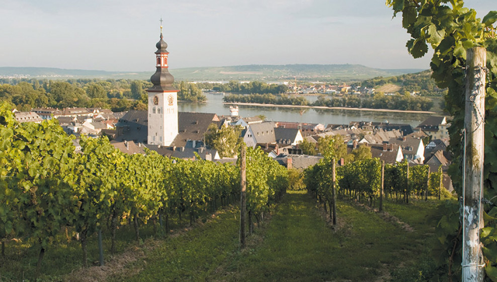 © Croisi Europe - Rüdesheim