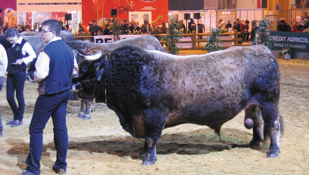 © Salon de l'Agriculture