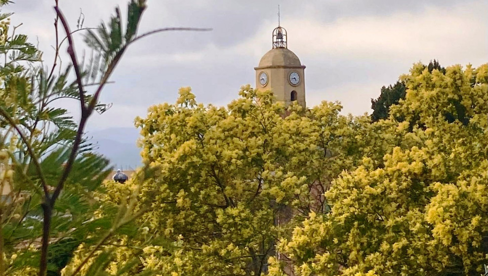 Bormes-les-Mimosas