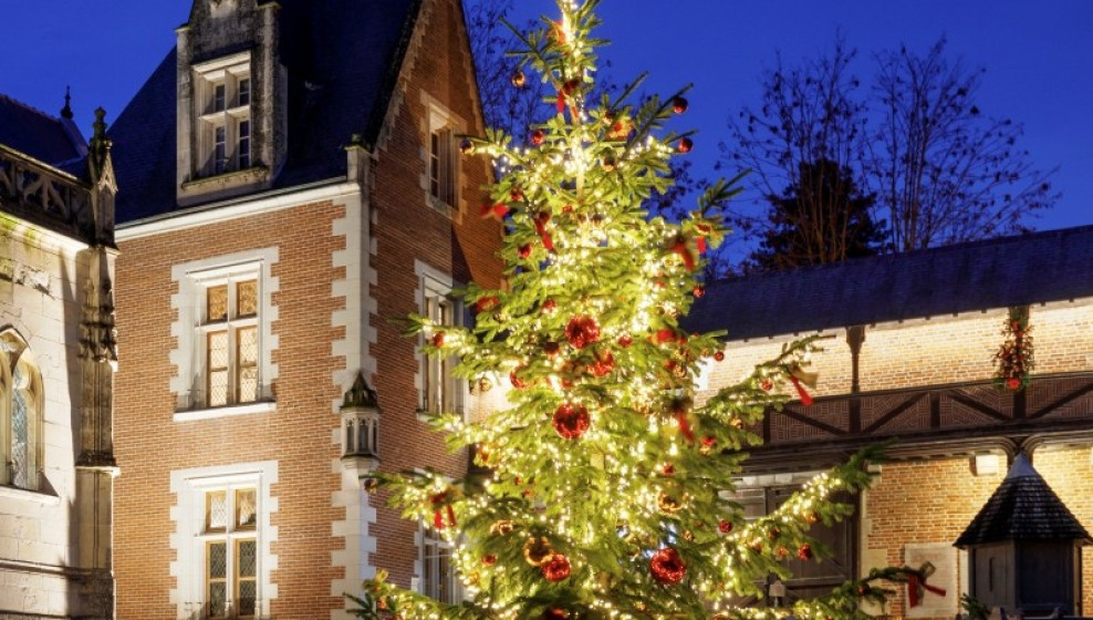 © Clos Lucé