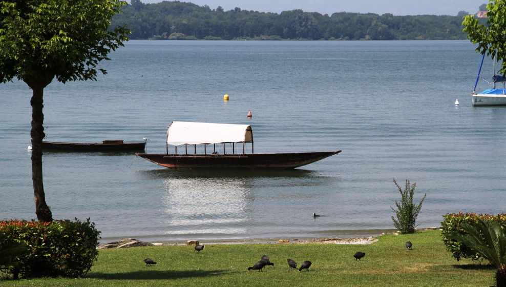 Lac de Viverone © T. Michel