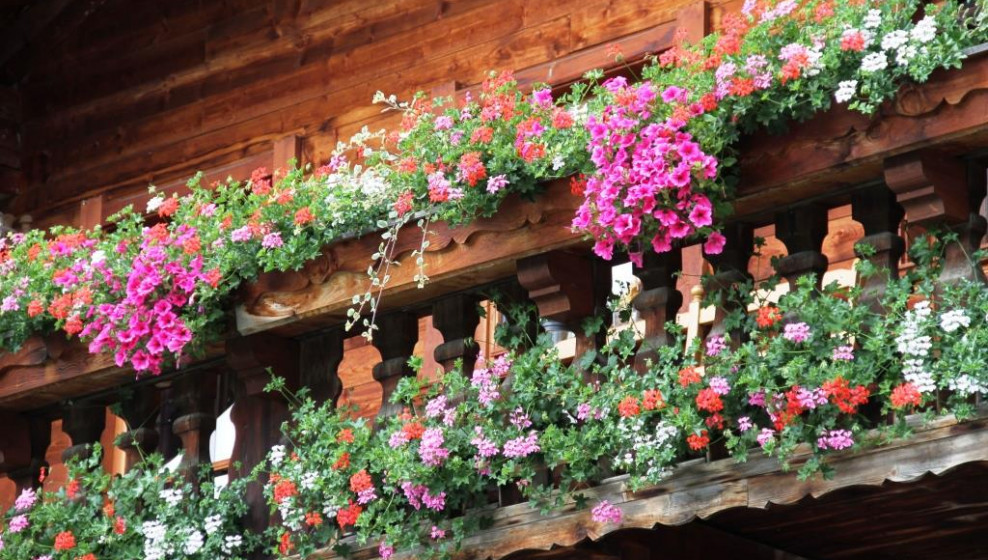 Balcon tyrolien © T. Michel