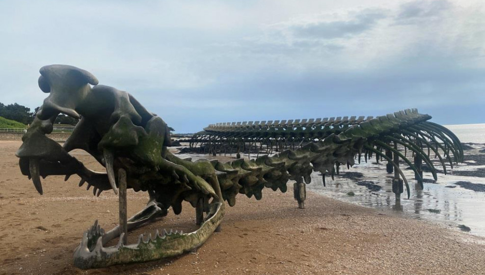 Serpent de Mer © T. Michel