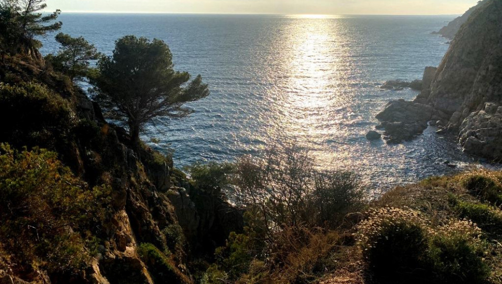 Côte Maresme © T. Michel