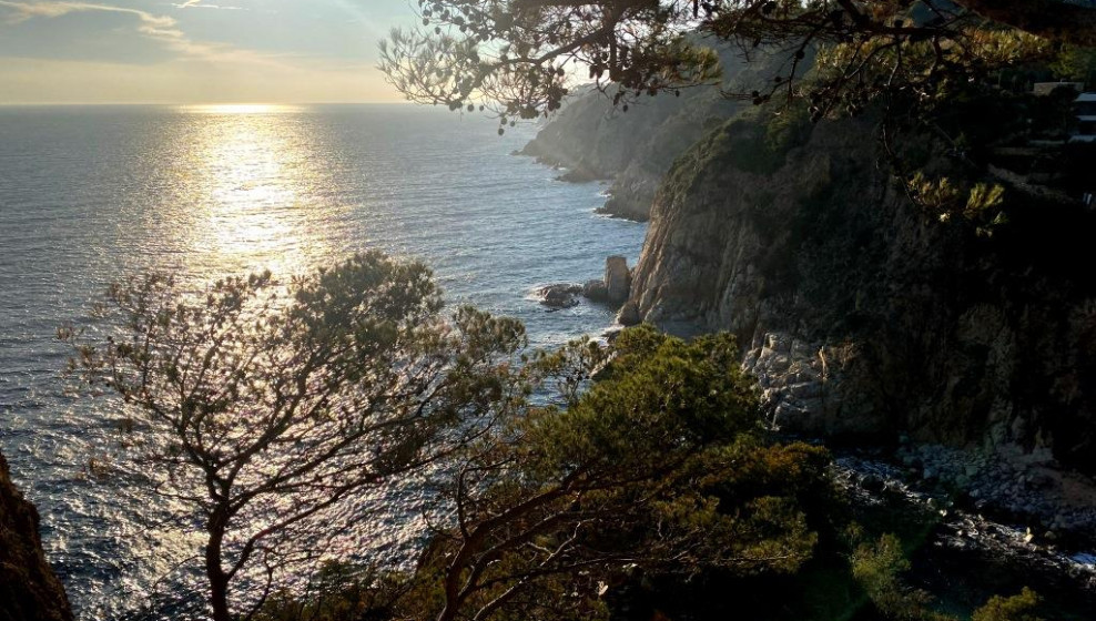 Côte Maresme © T. Michel