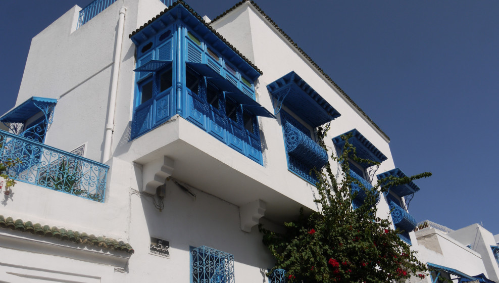 Sidi Bou Saïd © T. Michel