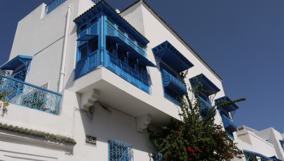 Tunisie © T. Michel