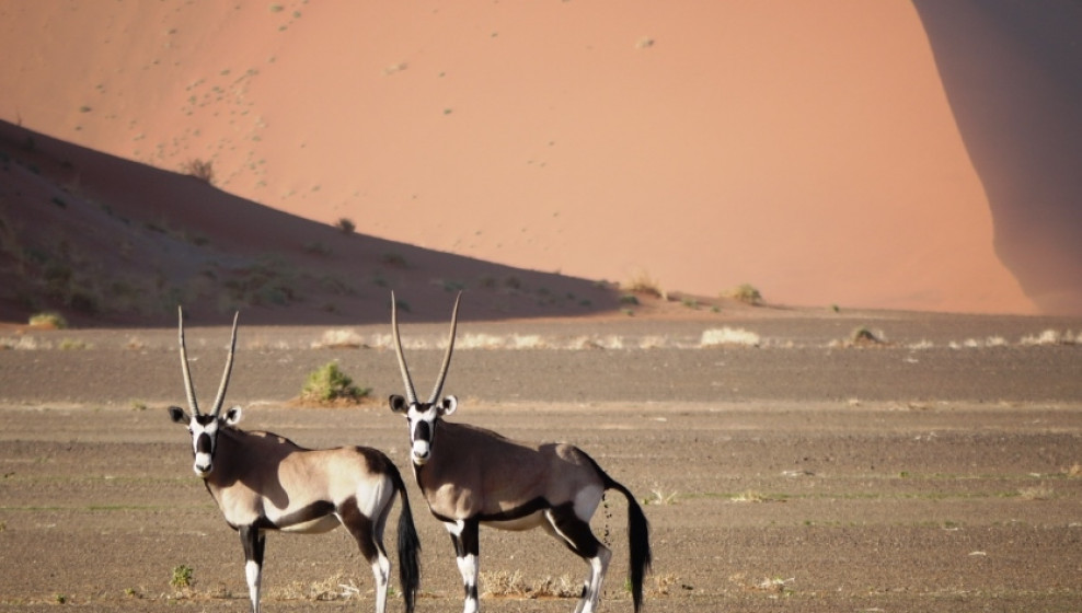 Namibie © T. Michel
