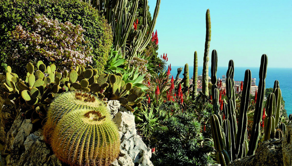 ©Jardin Exotique de Monaco/Mairie de Monaco