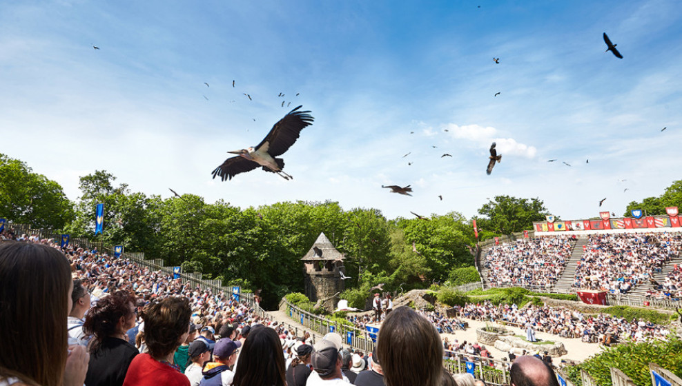 Le bal des oiseaux fantômes © David Piolé